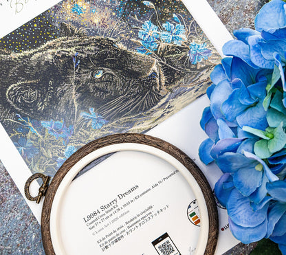 Kit de Punto de Cruz LetiStitch L9984 Starry Dreams – Diseño Fantasía con Aida 16