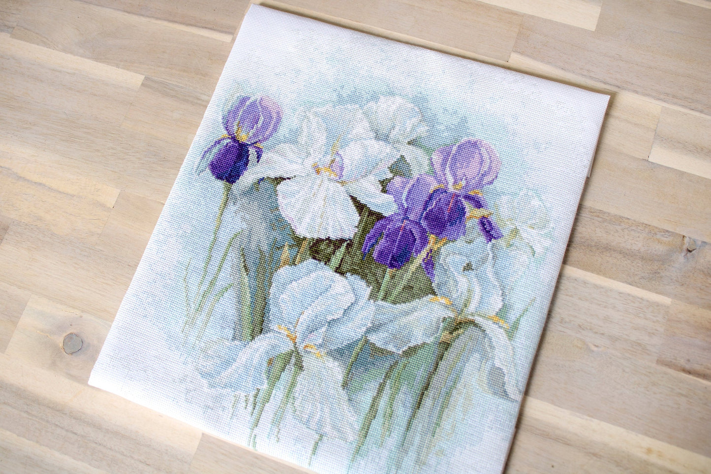 B2367 Irises - Luca-S - Kit de Punto de Cruz