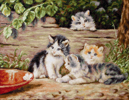 Gatitos - B556 Luca-S - Kit de Punto de Cruz