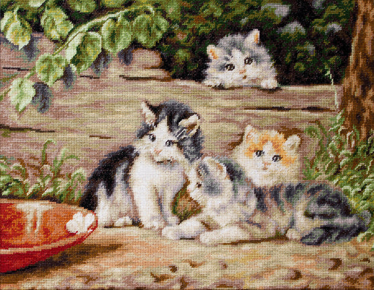 Gatitos - B556 Luca-S - Kit de Punto de Cruz