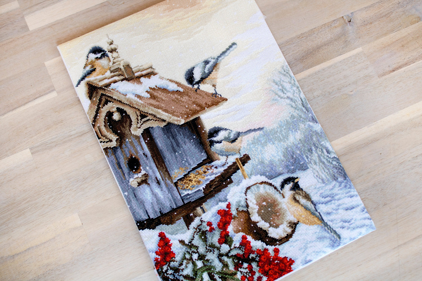 BU4021 Bird House - Luca-S - Kit de Punto de Cruz