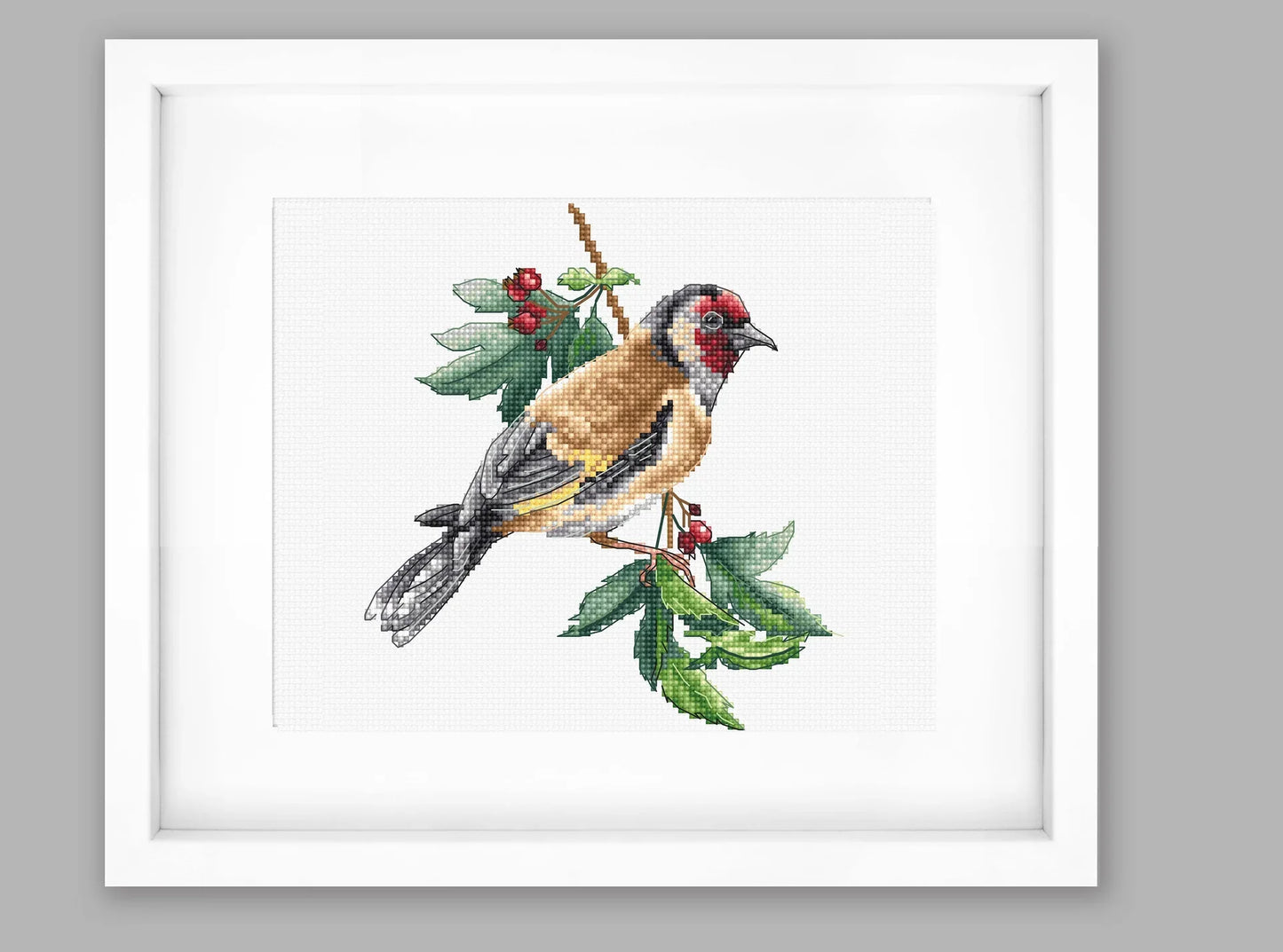 Goldfinch bird - B1197 Luca-S - Kit de Punto de Cruz